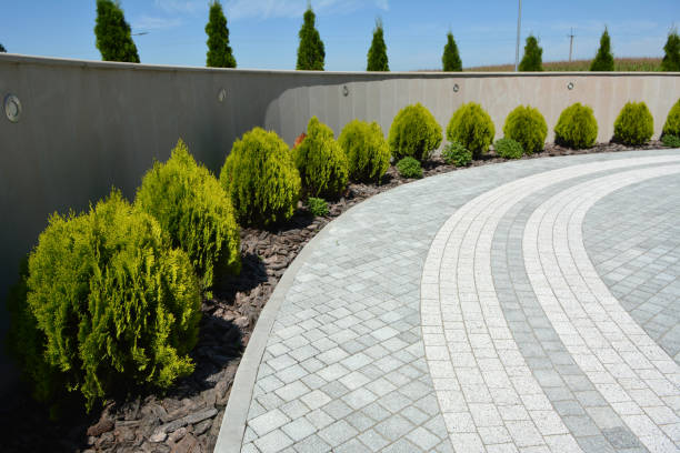 Reasons to Select Us for Your Driveway Paving Requirements in Erma, NJ